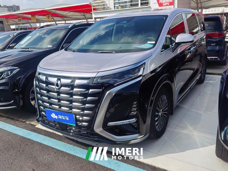 Denza D9 DM-i 1.5T 180km AWD Version 7 - car from China