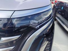Denza D9 DM-i 1.5T 180km AWD Version 7 - photo 4