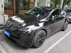 Tesla Model Y 545km Rear-Wheel Drive Edition - photo 1