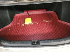 Honda Civic 240TURBO CVT Combustion Edition - photo 7