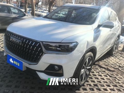 2023 Haval H6 Guochao Edition 1.5T 2WD Champion Edition