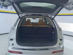 Blue Electric E5 1.5L DE-i 100km Version - ფოტო 7