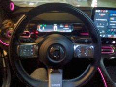 smart #1 535km Rear-wheel drive Pro Version - ფოტო 18