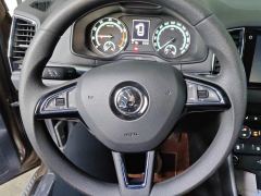 Skoda Karoq TSI280 Luxury Edition - ფოტო 18