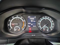 Skoda Karoq TSI280 Luxury Edition - ფოტო 20
