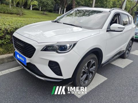 2022 Soueast DX8S 1.5T Edition 5 - ავტომობილი ჩინეთიდან