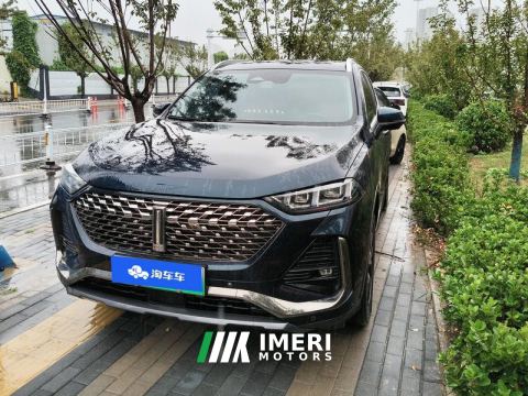 2022 Great Wall PHEV 1.5T 155km AWD - car from China