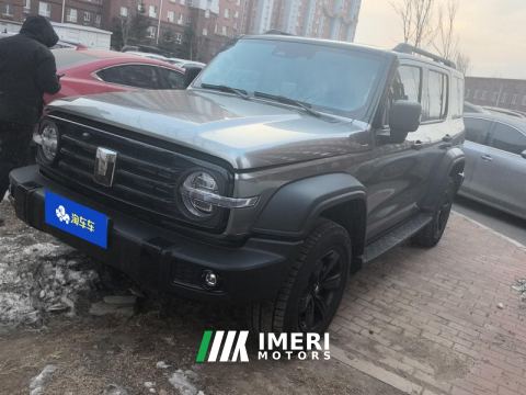 2024 Tank 300 2.0T Conqueror - ავტომობილი ჩინეთიდან