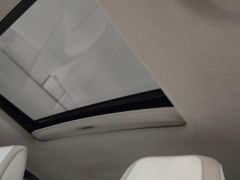 Tank 300 2.0T - photo 15