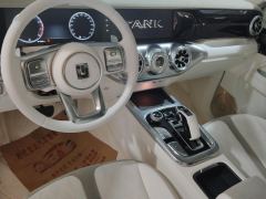 Tank 300 2.0T - photo 16
