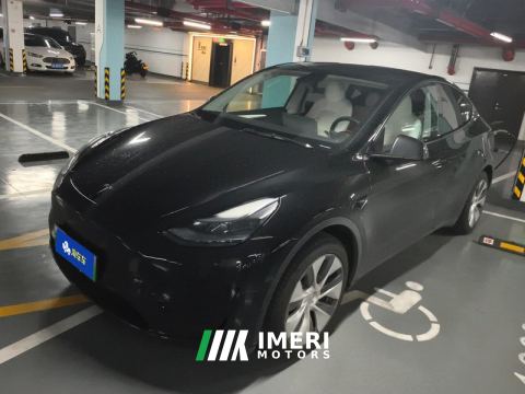 2022 Tesla Model Y Facelift 545km Rear-Wheel Drive Edition - ავტომობილი ჩინეთიდან