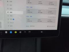 Tesla Model Y 554km Rear-Wheel Drive Edition - ფოტო 20