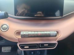 BYD Seagull 305km Free Version - ფოტო 17