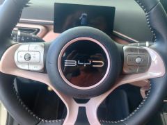 BYD Seagull 305km Free Version - ფოტო 20