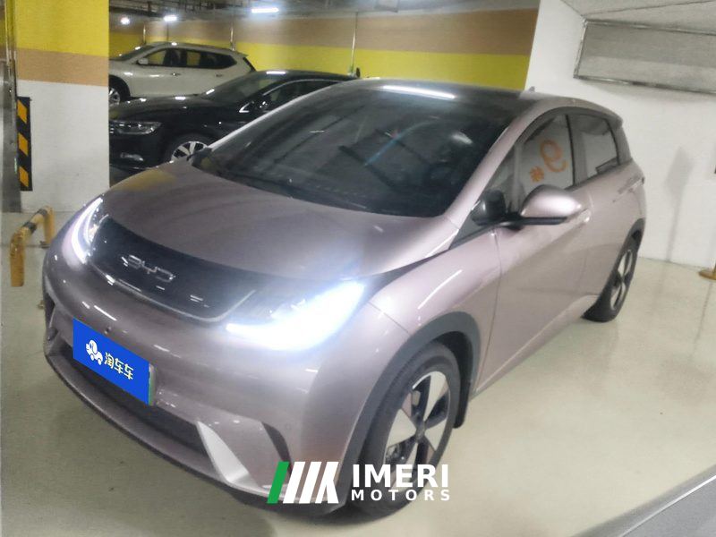 BYD Dolphin 420km Stylish Edition - ავტომობილი ჩინეთიდან