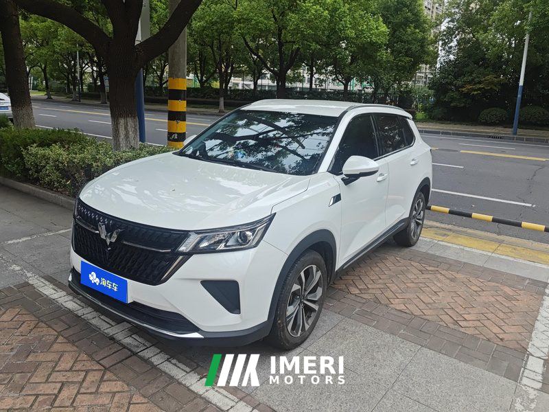 Wuling Xingchen 2.0L DHT Electric Power Edition