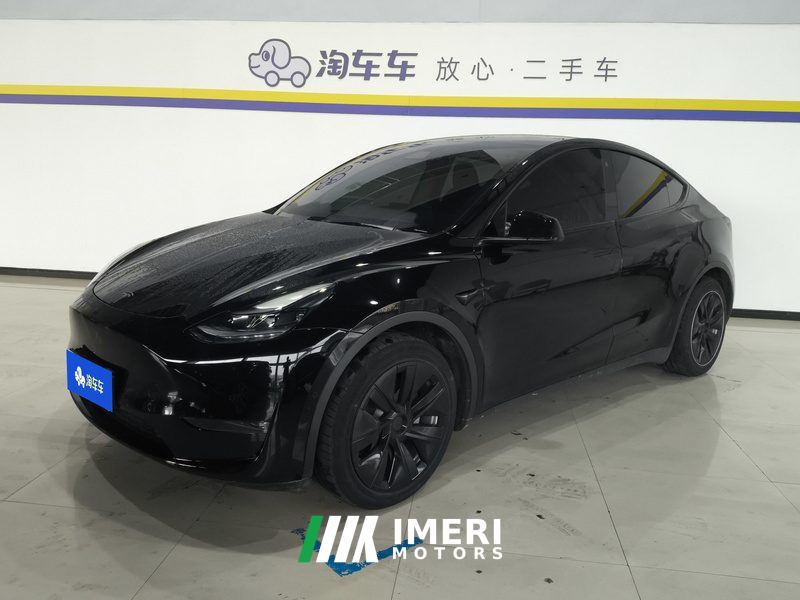 Tesla Model Y Standard endurance rear-wheel drive - car from China