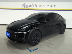 Tesla Model Y Standard endurance rear-wheel drive - photo 1