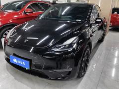 Tesla Model Y Standard endurance rear-wheel drive - ფოტო 1