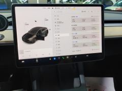 Tesla Model Y Standard endurance rear-wheel drive - ფოტო 20