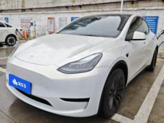 Tesla Model Y Facelift 545km Rear-Wheel Drive Edition - ფოტო 1