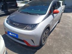 BYD Dolphin 405km Stylish Edition - ფოტო 1