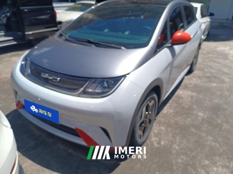 2021 BYD Dolphin 405km Stylish Edition - ავტომობილი ჩინეთიდან