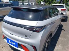BYD Dolphin 405km Stylish Edition - ფოტო 2