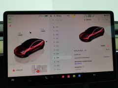 Tesla Model 3 556km Rear-Wheel Drive Edition - photo 20