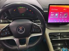 BYD Song PLUS EV Flagship - фото 16