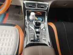 BYD Qin PLUS EV Champion Edition 510km Leading Edition - photo 19