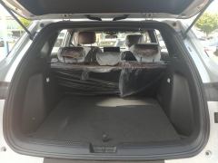 Wuling Starlight S Pure Electric 510km Navigator Edition - photo 7