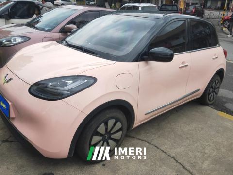2023 Wuling Bingo Binguo 333km Lingxi Connected Edition - car from China
