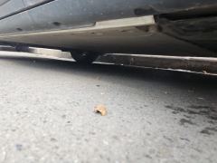 smart #1 535km Rear-wheel drive Pro Version - photo 11