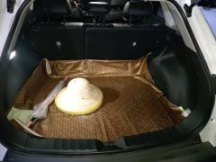 Toyota Corolla Sharp Release 2.0L Edition - ფოტო 7