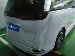 Denza D9 DM-i 1050 Luxury Edition - фото 2