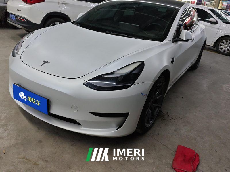 Tesla Model 3 Standard Range Edition 3D6