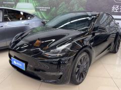 Tesla Model Y 615km Performance High-Performance AWD Version - фото 1