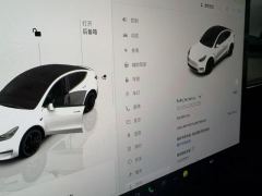Tesla Model Y 615km Performance High-Performance AWD Version - фото 20