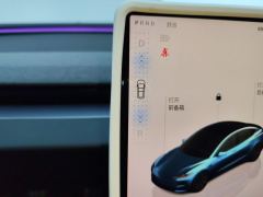 Tesla Model 3 634km Rear-Wheel Drive Edition - photo 19