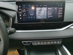 Geely Xingui Xingrui 2.0T Luxury Edition - ფოტო 17