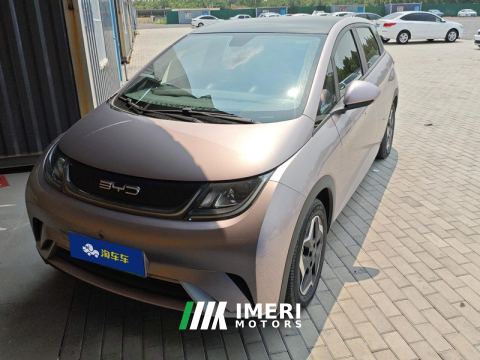 2021 BYD Dolphin 405km Stylish Edition - car from China