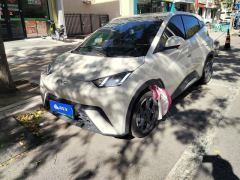BYD Seagull 305km Free Version - photo 1