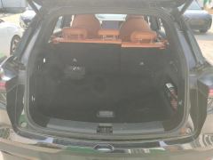 Neta L EREV Edition 220km Edition - photo 7