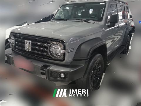 2021 Tank 300 Off-Road Edition 2.0T Conqueror - ავტომობილი ჩინეთიდან