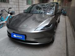 Tesla Model 3 606km Rear-Wheel Drive Edition - фото 1