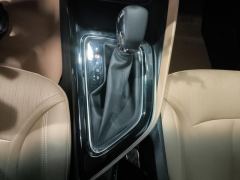 Buick GL6 323T Luxury Version - photo 19