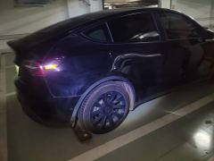 Tesla Model Y Standard endurance rear-wheel drive - photo 2