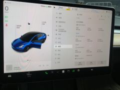 Tesla Model 3 Standard Range Edition - ფოტო 20