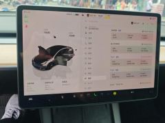 Tesla Model 3 556km Rear-Wheel Drive Edition - ფოტო 20